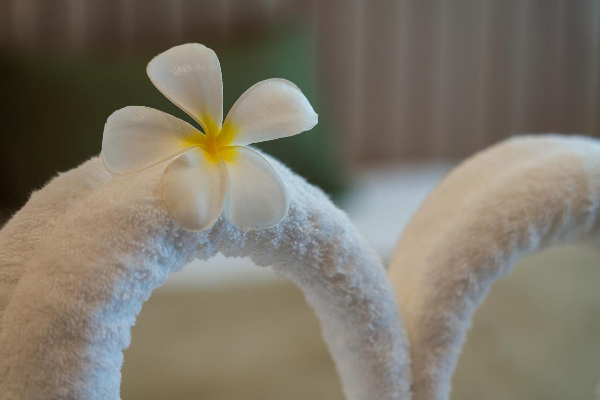 Niranapa Boutique Resort Kata Plajı Dış mekan fotoğraf